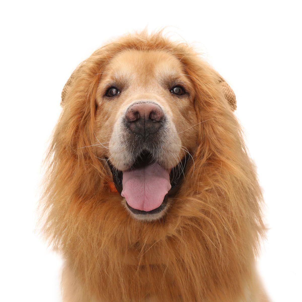 EHOTER Dog Lion Mane Costume Lion Mane for Dog Wig Adjustable Dog Halloween Costumes with Ears Dog Lion Mane Costumes for for Medium and Large Dogs Dog Halloween Costume (L,Light Brown) โ image 1