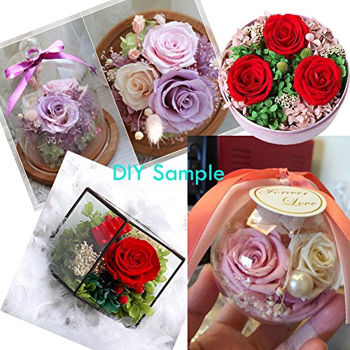 Ancdream 6PCS Fiore fresco delle rose fresche