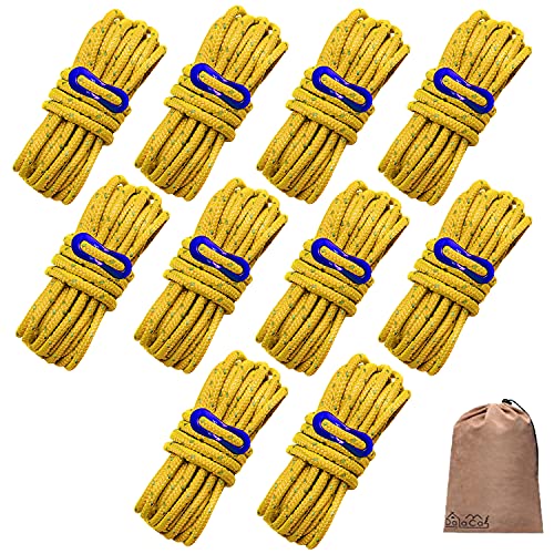 DaLaCa パラコード テントロープ タープロープ ガイロープ 反射材入り 太さ 5mm 長さ 4m 6本 / 8本 / 10本 セット 耐荷重 350kg 自在金具 収納袋 付き