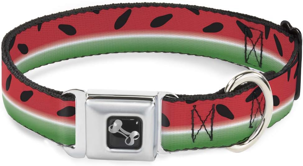 Watermelon Stripe Dog Collar Seatbelt Buckle – 11-17 Inches, 1 Inch Wide Watermelon Stripe Dog Collar Seatbelt Buckle – 11-17 Inches, 1 Inch Wide