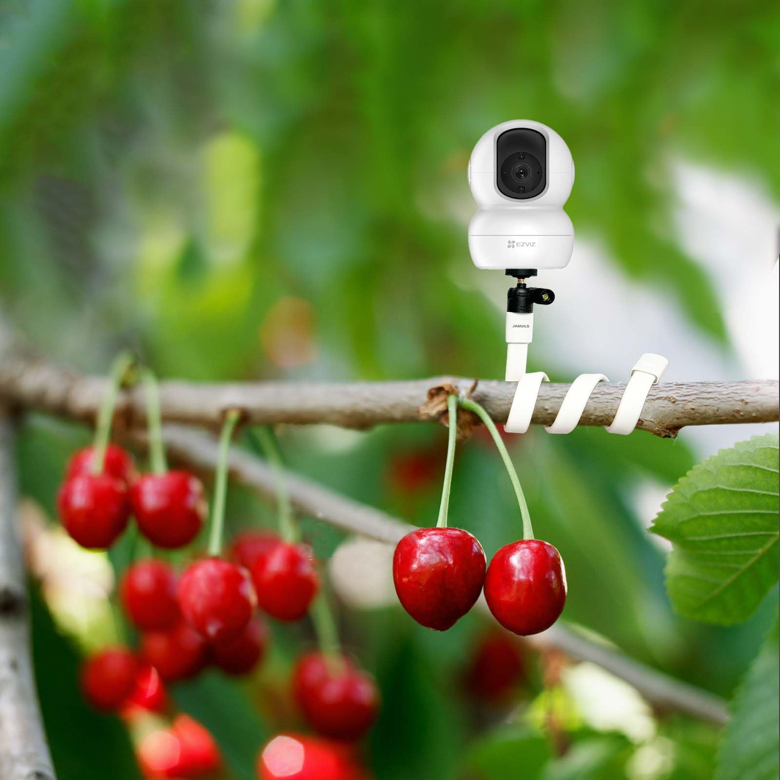 elastyczna uchwyt do monitora wideofonu z mini główką statywu, uchwyt na kamerę bezpieczeństwa, kompatybilny z XIAOMI TP-Link EZVIZ Arlo Pro (z adapterem)
