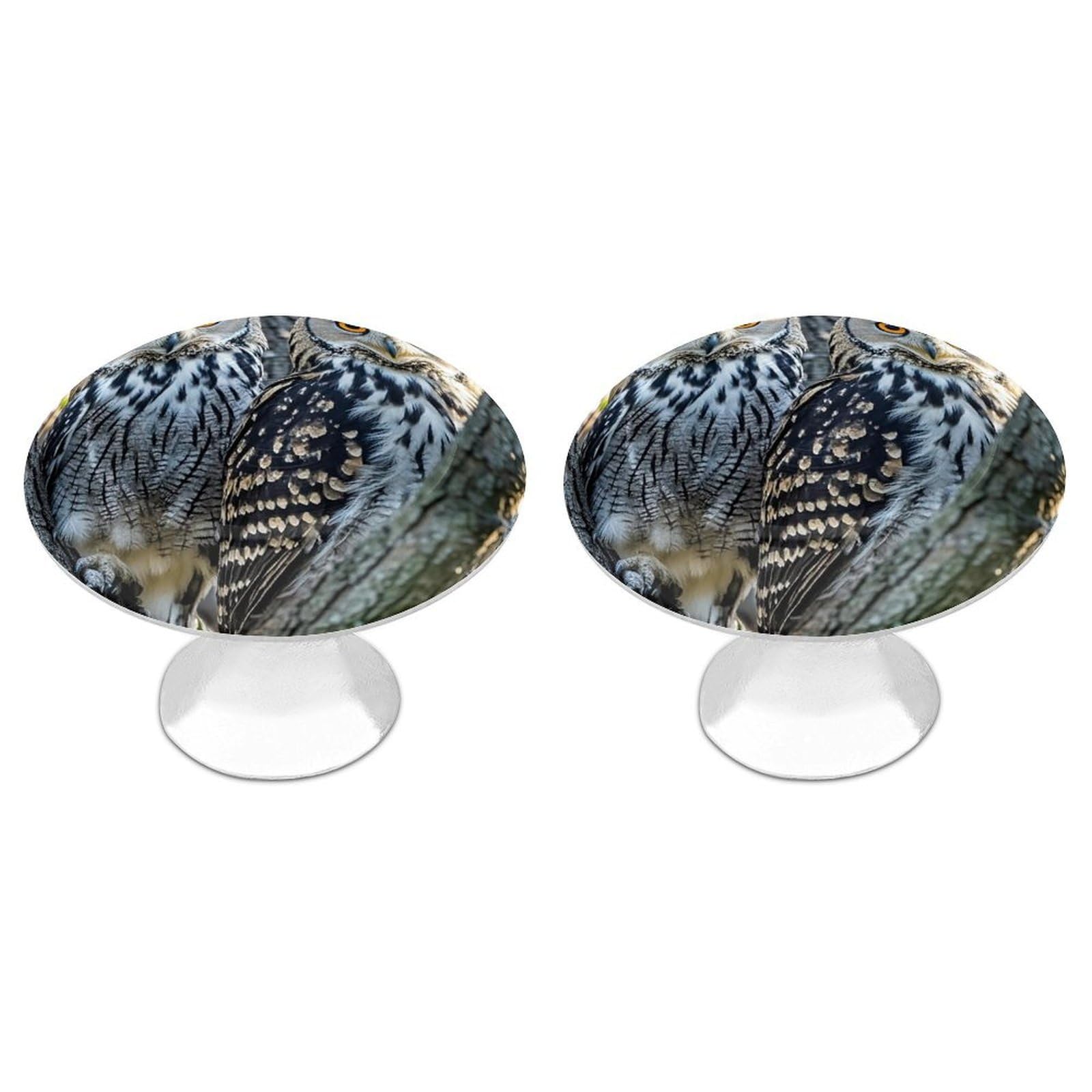 FekiLoot Wild Owl Birds Cabinet Knobs 2 Pack Stainless Steel Round Dresser Drawer Knobs Kitchen Drawer Hardware Dresser Knob Closet Door Pulls Cabinet Handles for Cupboard Drawer Pulls