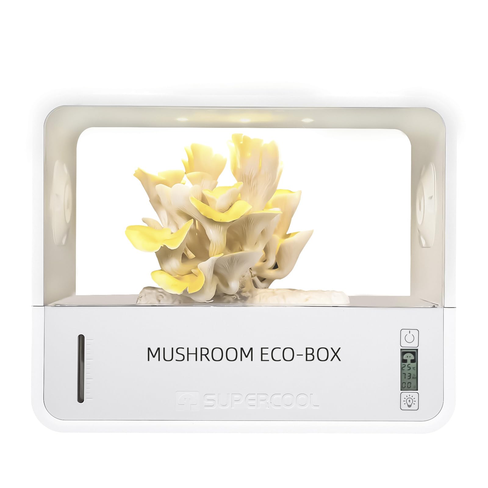 Kit Champignons à Faire Pousser, Tente de Culture de Champignons avec Affichage de la Température et de l'humidité, kit de Culture de Champignons Smart Monotub
