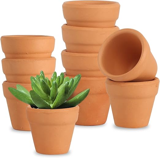 AOROPS Mini Terrakotta Tontöpfe, 10 Stücke Kleine Terrakotta Töpfe 3cm