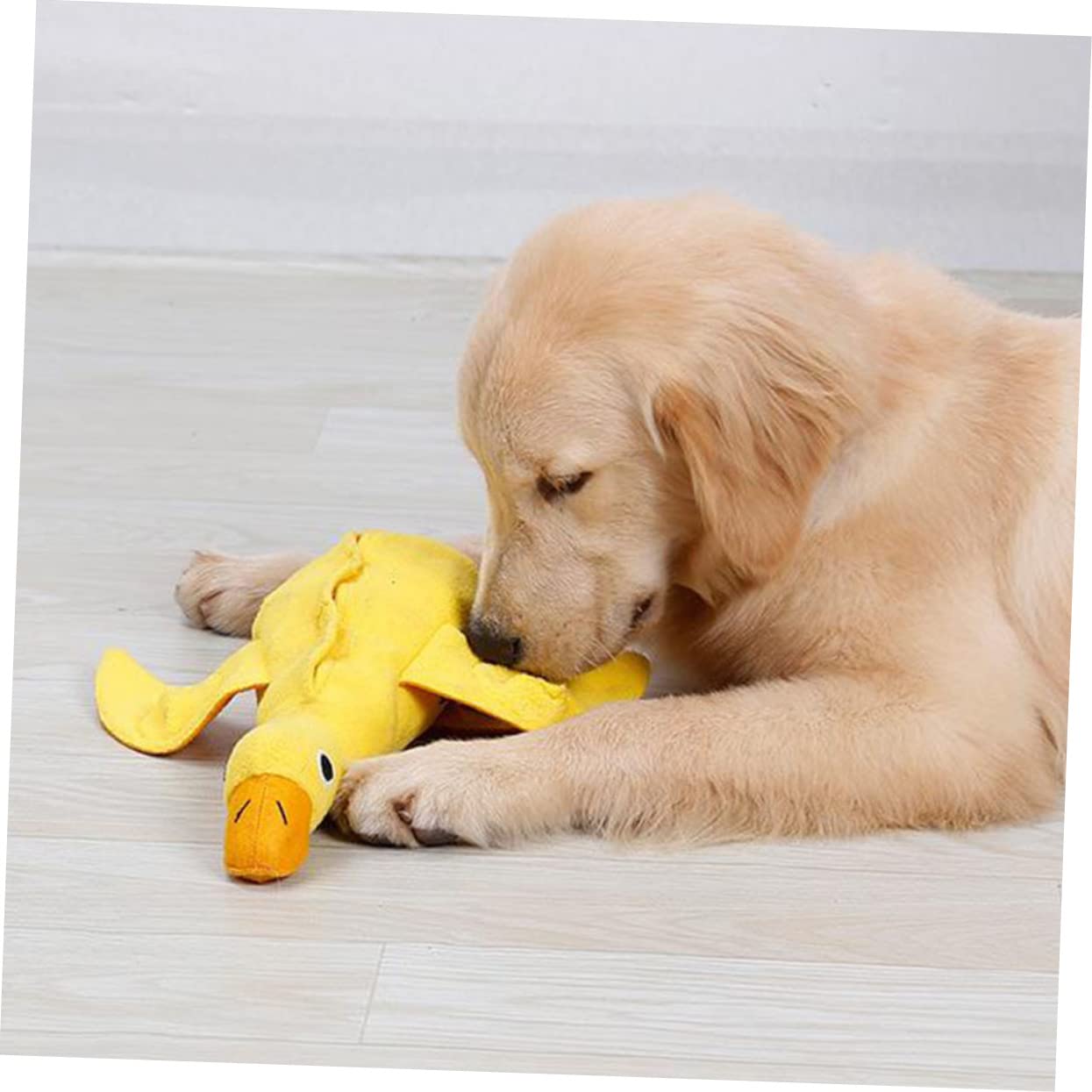 Supvox 3stücke Pet Squeaky Toy Für Hunde Ducke Interaktives Kauspielzeug Fördert Natürliche Verhaltensweisen Für Welpen Und Kleine Hunde Stimuliert Energie Und Spieltrieb
