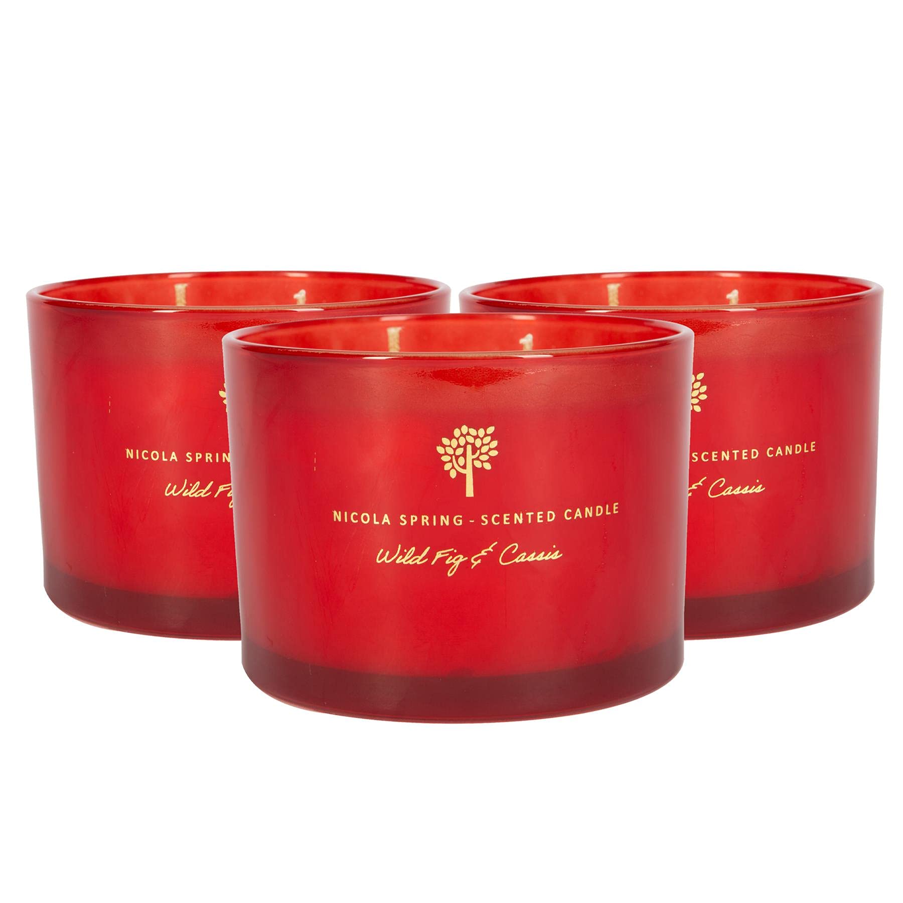 Nicola Spring 3X Wild Fig & Cassis Scented Candles350G 38H Natural Double Wick Soy Wax Aromatherapy Candle Home Fragrance from B&Q