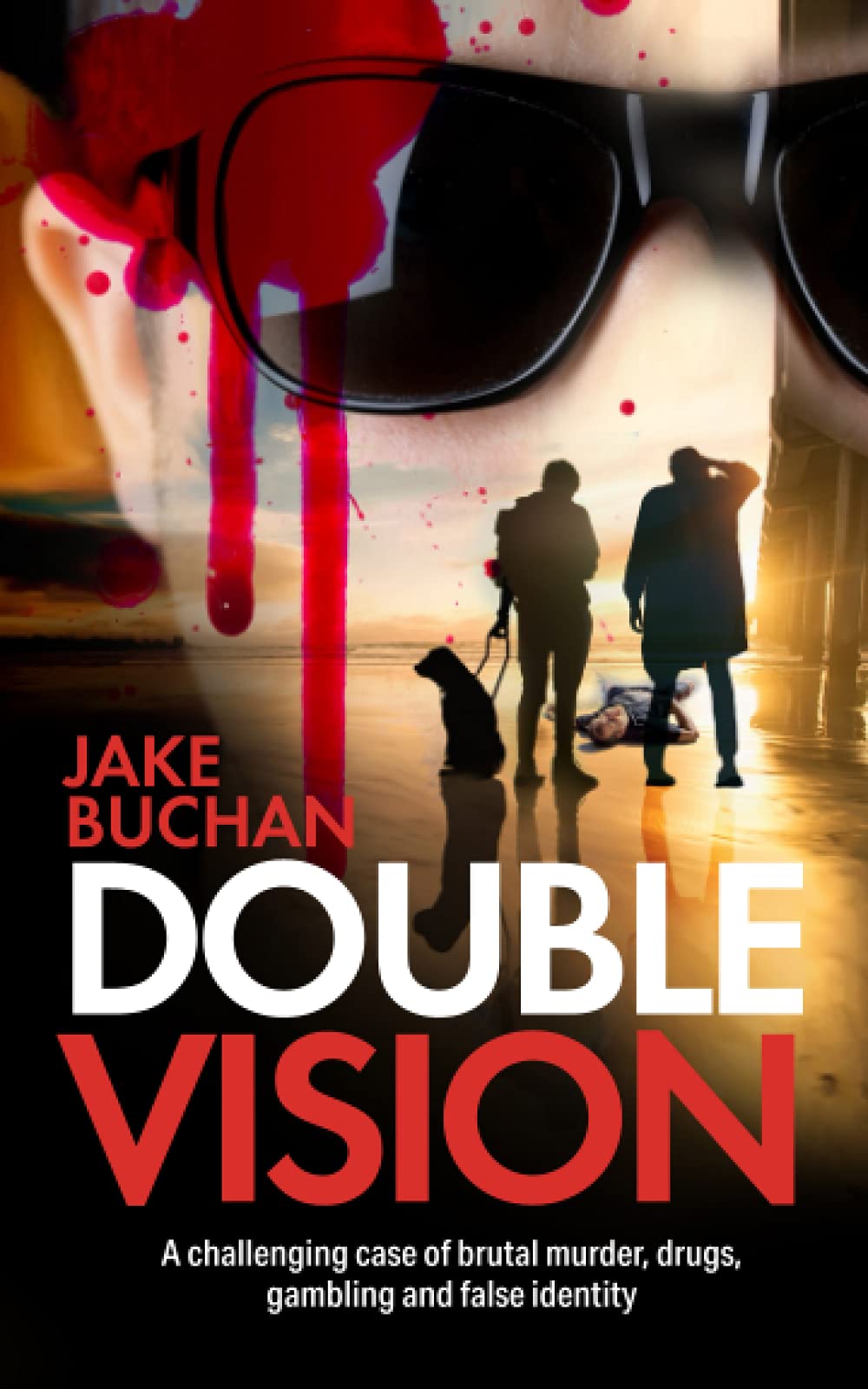 Double Vision: 3 (John Steadman Blind Ex-Detective Crime Thrillers)