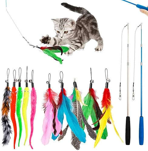 Mieux Notes Dans Jouets A Plumes Pour Chats Et Commentaires Utiles Des Clients Amazon Fr Mieux Notes Dans Jouets A Plumes Pour Chats Et Commentaires Utiles Des Clients Amazon Fr