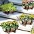 YI 2 Pack Rustic Half Barrel Planters, 16.34x11.81x7.28 Inches Plastic Weather Resistant Plant Flower Pot Indoor & Outdoor Garden Planter