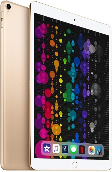 Apple iPad Pro 10.5 256GB 4G - Space Grau - Entriegelte (Generalüberholt) - 5