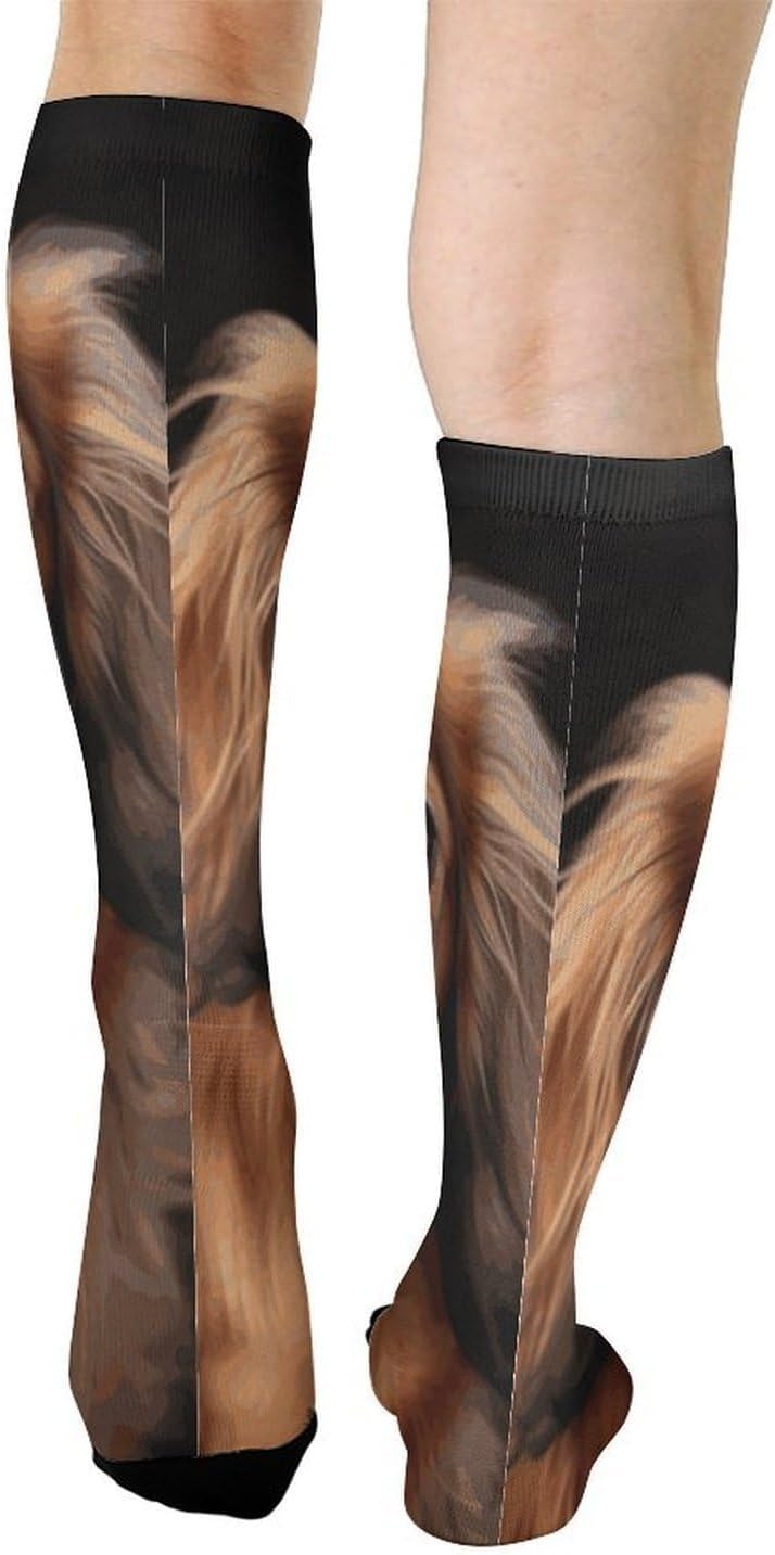 Knee High Socks Dachshund Dog Long Tube Boot Seamless Toe