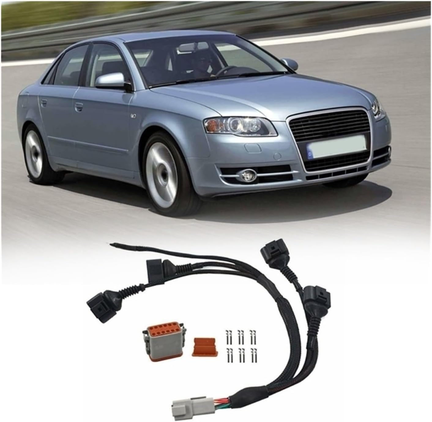 穴銭 スラブケース入り 新寛永通宝 小菅厚肉母銭 穴銭 スラブケース 穴銭 スラブケース入り 新寛永通宝 小菅厚肉母銭 穴銭 スラブケース