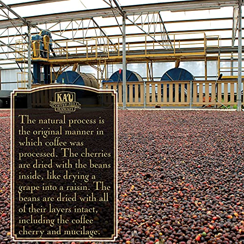 Peaberry Medium Roast Whole Bean Ka'u Coffee, 100 Hawaiian Award