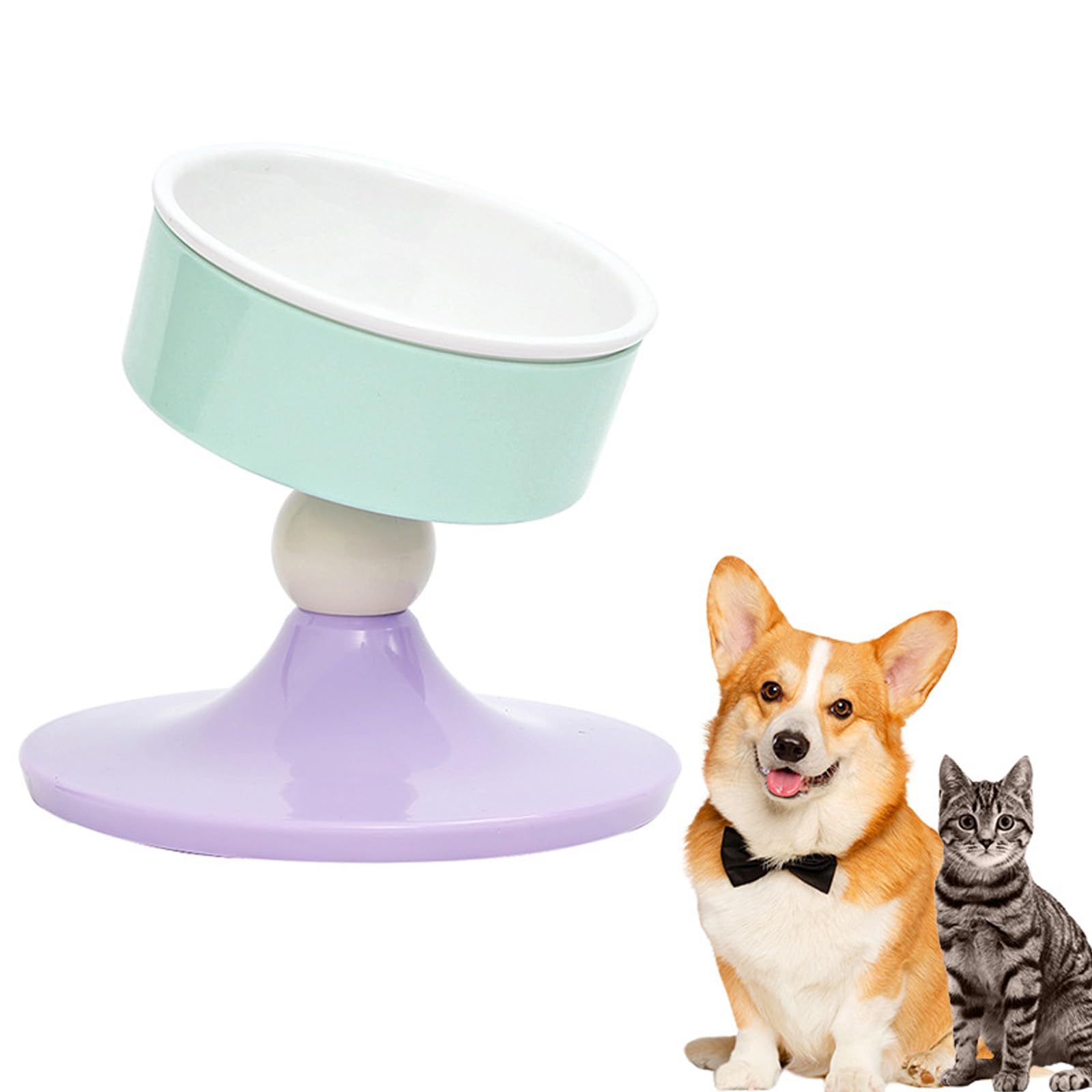 Regolazione ' altezza Ciotola per gatti Ciotola per alimentazione inclinata Base antiscivolo Mangiatoia per animali domestici ergonomica per cani piccola taglia e alimentazione cibo