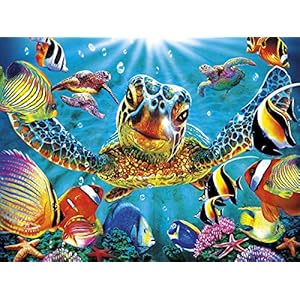 Deals from Vansiho-US