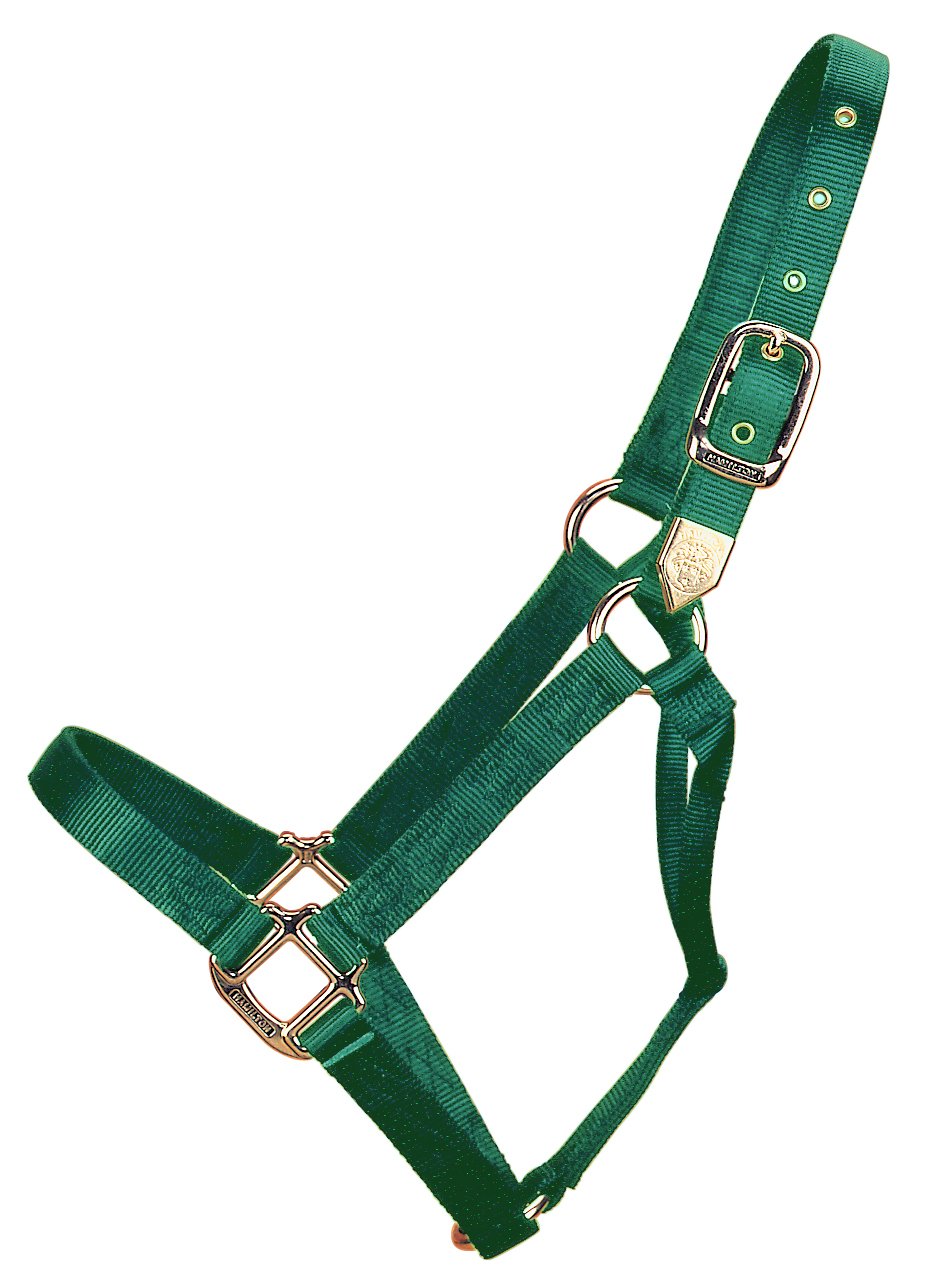 Hamilton 1-Inch Nylon Horse Halter Yearling/Standard Donkey Size (300-500 Pounds), Dark Green