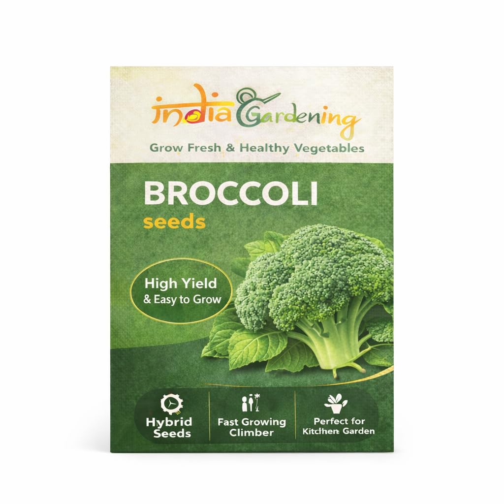 Broccoli Seeds for Home Garden | High Yield Hybrid Vegetable Seeds | Easy to Grow Kitchen Garden Plant Seeds | Suitable for Pots, Balcony & Outdoor Gardening