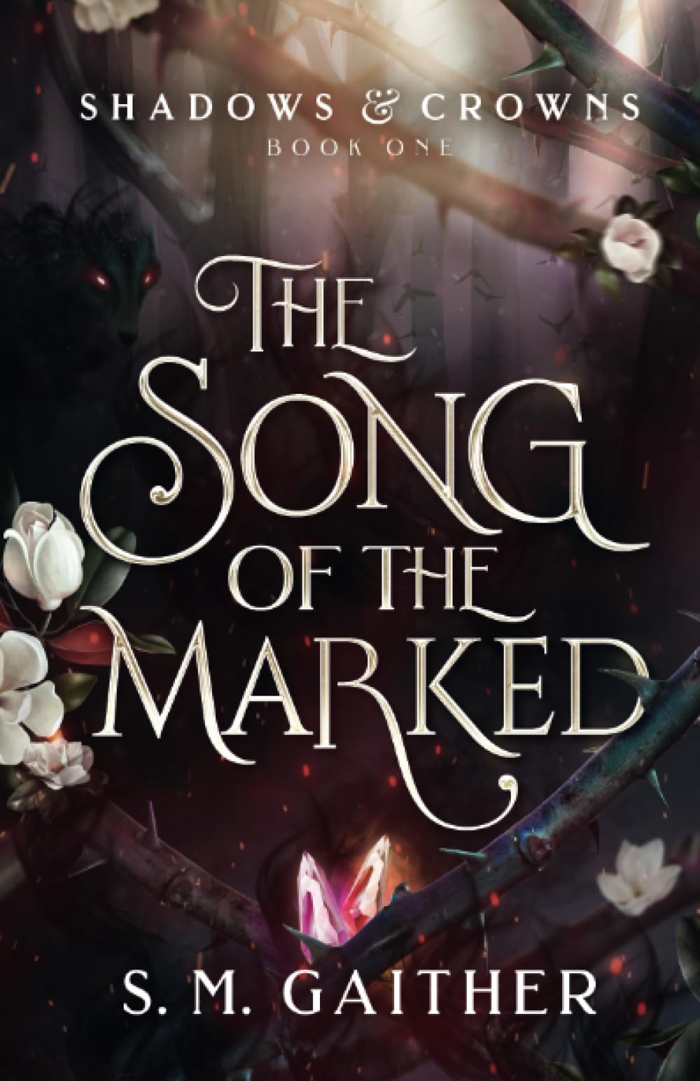 Cover of The Song of the Marked
