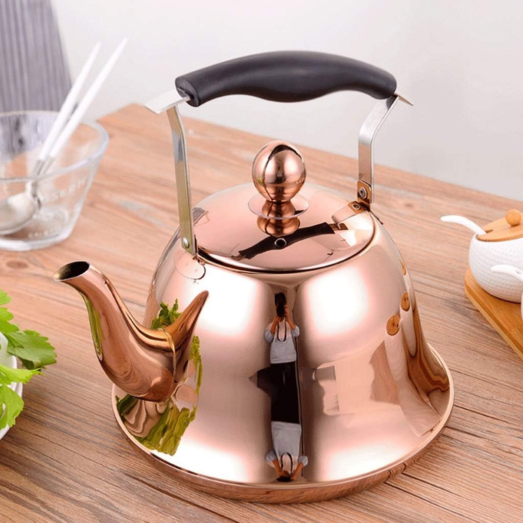 Stainless Steel Kettle Whistling Tea Kettle Coffee Kitchen Stovetop Induction for Home Kitchen Camping Picnic