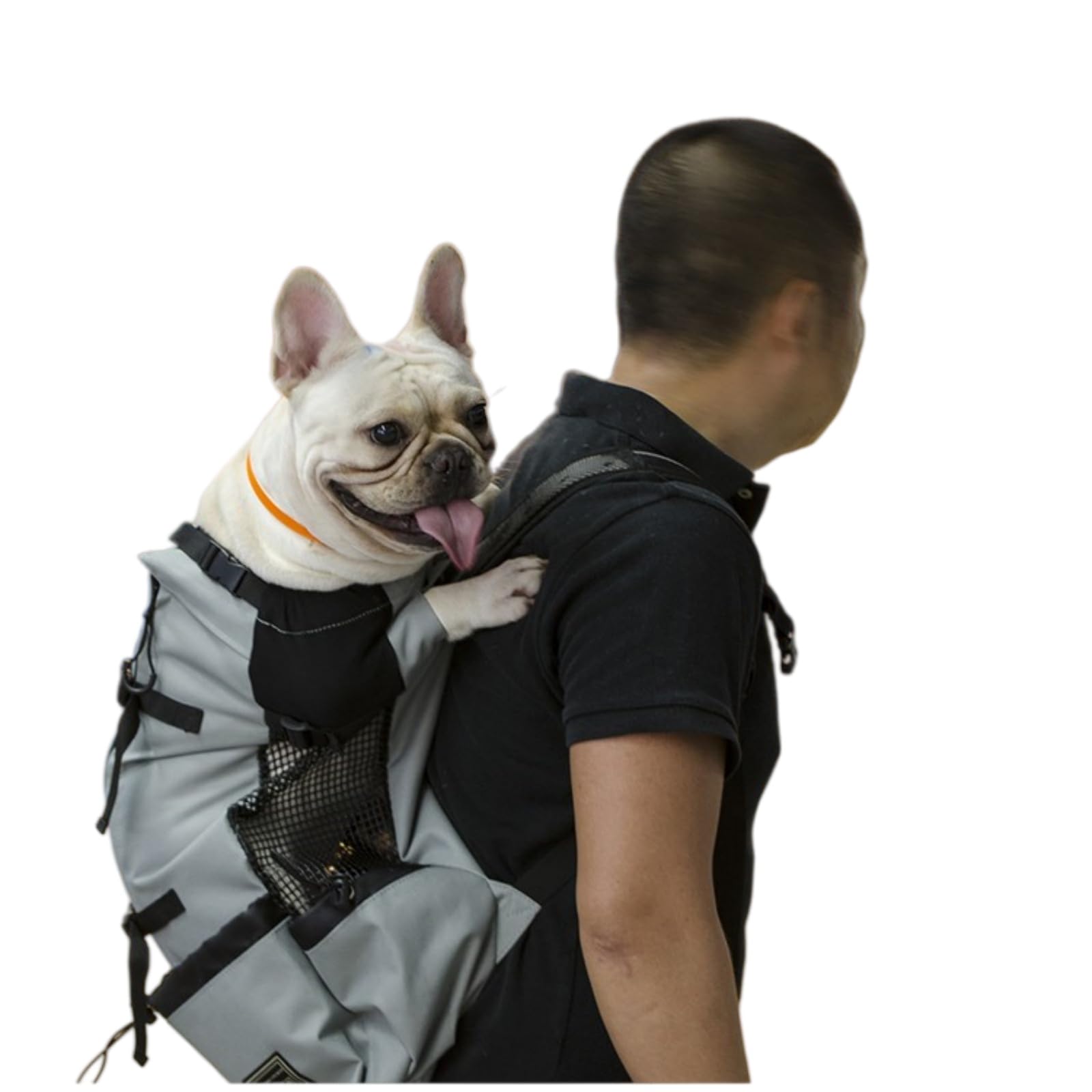 Borsa Viaggio Animali Zaino da Trasporto per Cani Compagnia Ventilato Escursioni E Viaggi, A Maglia Traspirante All'aperto Piccoli Gatti in Bicicletta Moto-Black-l(9-11kgs)