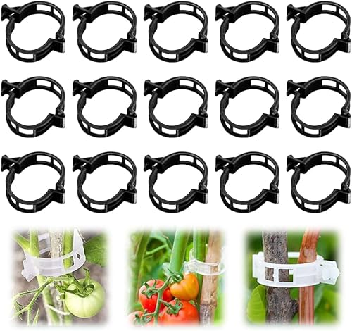 Miniatura 7 de Clip de plástico seguro para plantas, clips de soporte para plantas trepadoras, clips de enrejado de plástico para tomate, uva, vid, verduras y Verde
