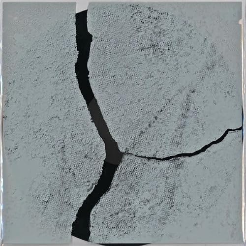 POPP, Simon - Trio - Vinyl (180 gram vinyl LP)