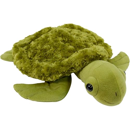ABILITATIONS Weighted Turtle
