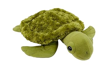 ABILITATIONS Weighted Turtle