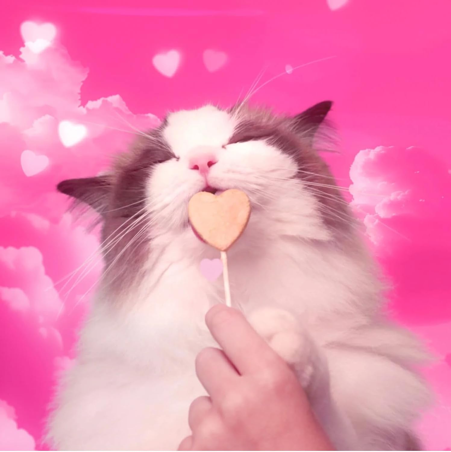 Bonkers Purrpops Freeze Dried Chicken Cat Treats, 36 Count