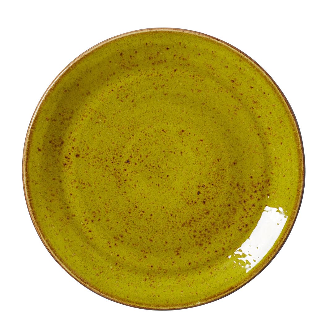 Steelite Craft Apple Plate Coupe 25.5cm / 10inch, Pack of 12