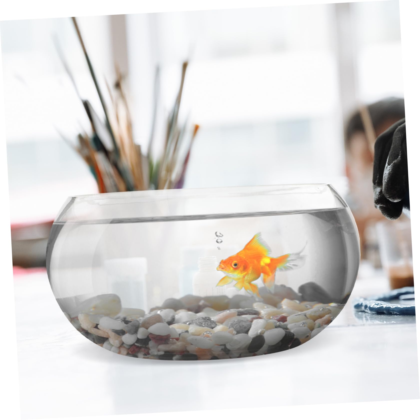 Rundes Transparentes Fischglas für Weihnachten Feier, Glas Aquarium Modern
