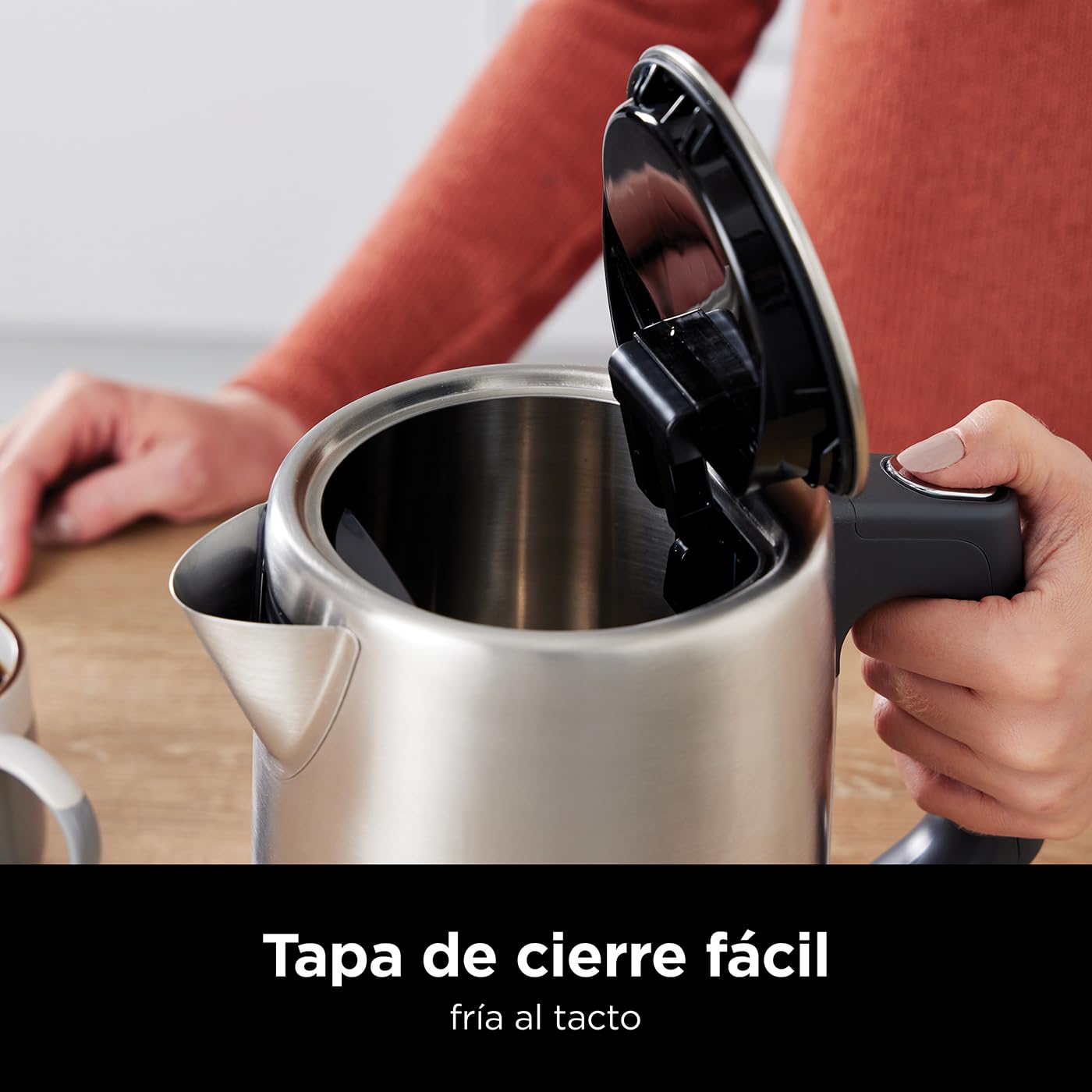 Ninja Hervidor de Agua con Temperatura Regulable, 1,7L, KT201EU