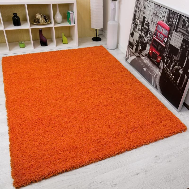Image of zia carpets Cozy Soft Shaggy Non Slip Carpet for Home Decor Aesthetic Rugs with 2.5 inch Thikness Size 5x7 feet