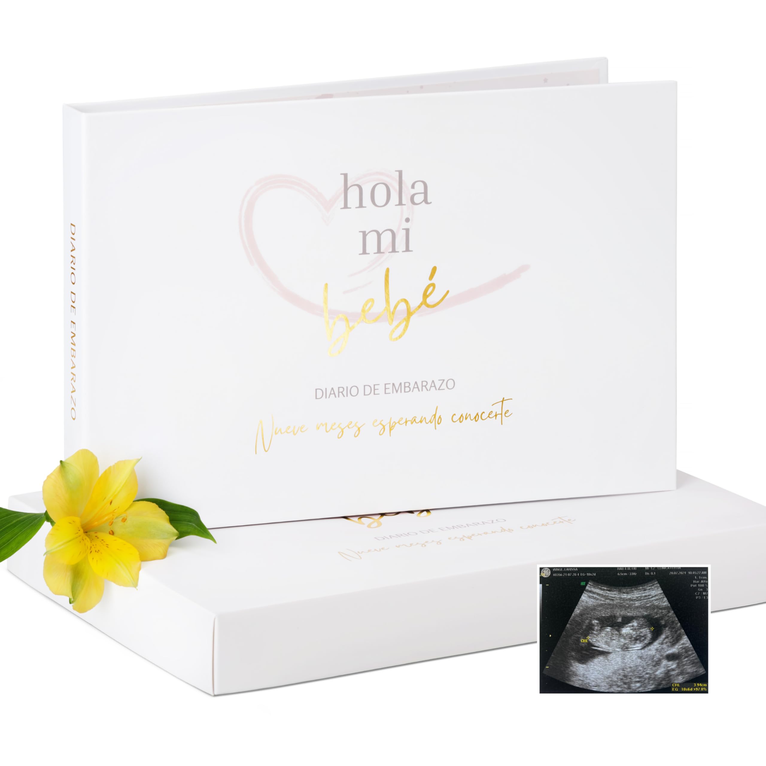 Hola Mi Bebé - Diario Embarazo, Libro Bebe: Regalos Embarazadas Originales - Stickers Consejos Registra Recuerdos Embarazo Primer Año - Tapa Dura Wire-o Detalles en Dorado Caja Regalo