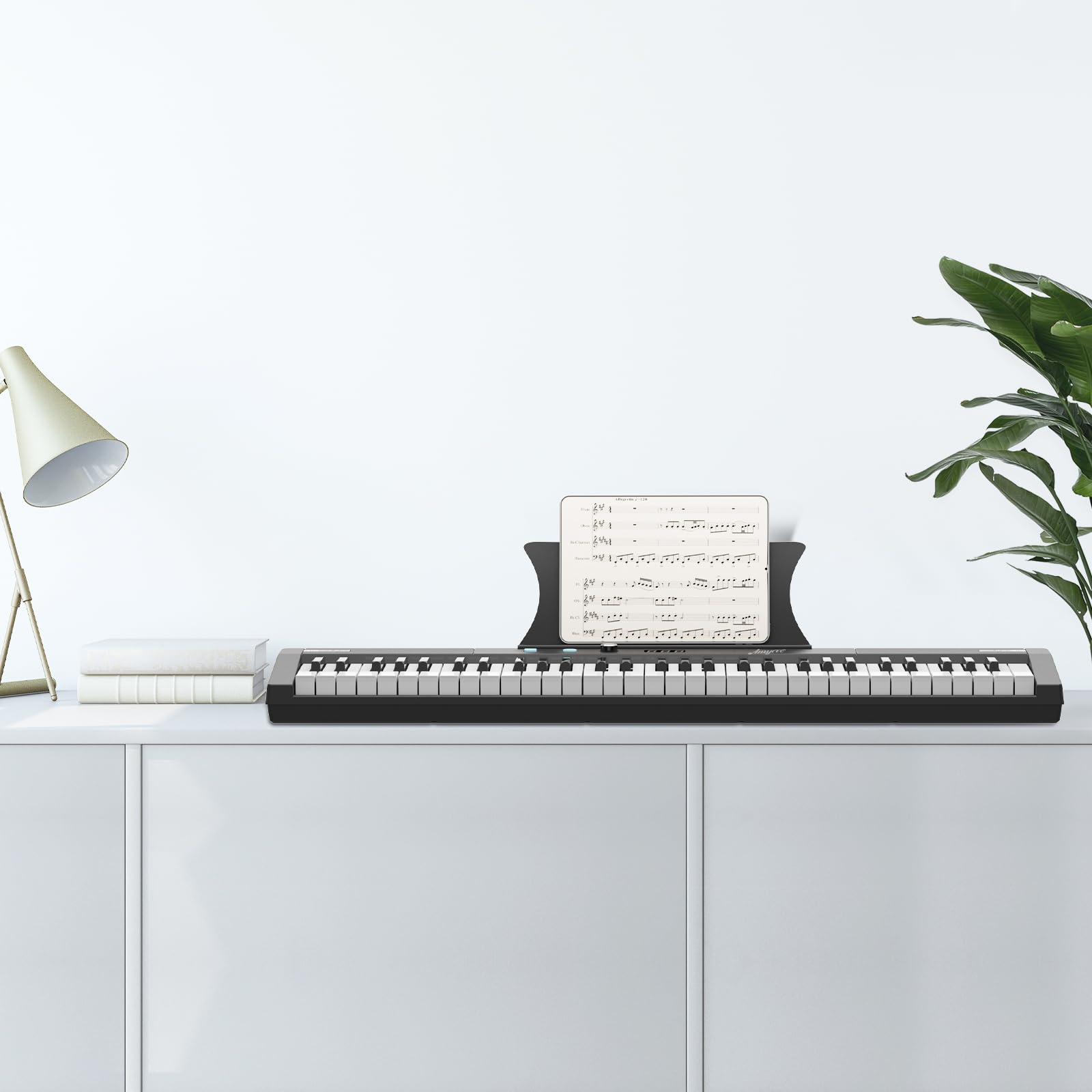 61 Key Keyboard Piano, Protable Electric Semi-Weighted Piano Keyboard for Beginner/Professional, With Power Supply, Built In Speakers, Pedal, Perfect for Birthday or Christmas(without stand)