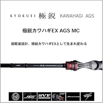 Amazon | ダイワ(DAIWA) 船竿 極鋭カワハギEX AGS MC 釣り竿 | ダイワ