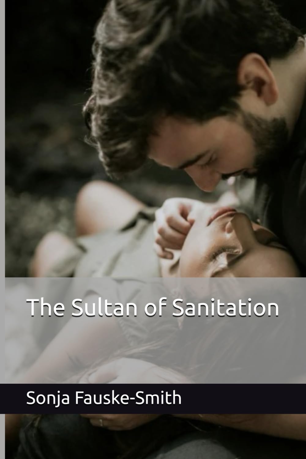 The Sultan of Sanitation (Married to a Narcissist series)