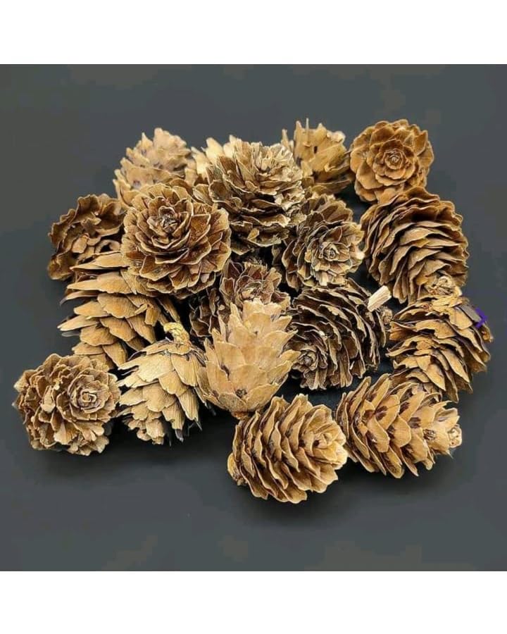 Prescent Natural Pine Cones 10pcs for Crafts and Decoration, Rustic Brown Wooden Flower for Art Craft, DIY, Home Decoration & More (Pack of 10)-image-23