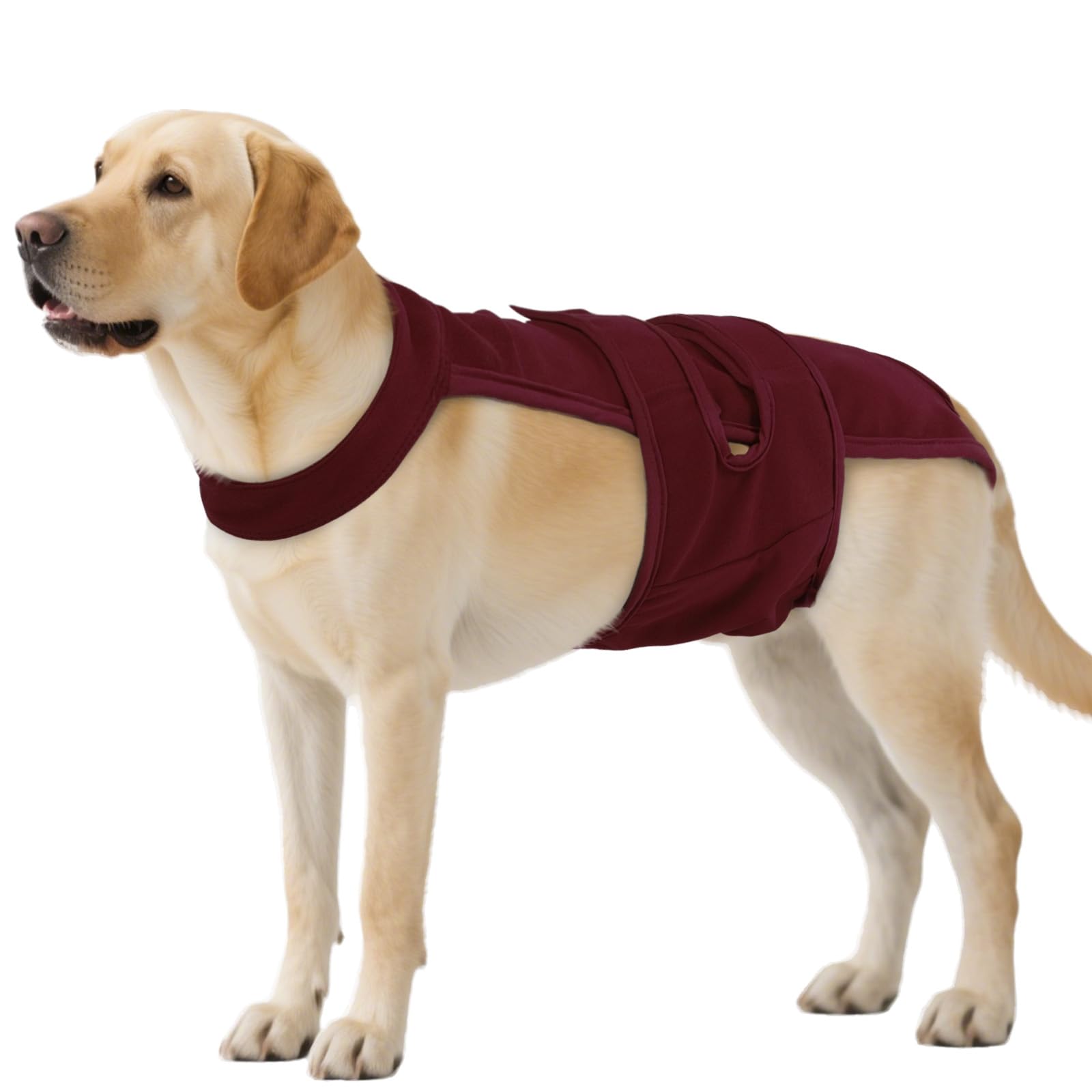Female Dog Diapers with Adjustable Suspenders – Washable Sanitary Panties for Dogs in Hea…