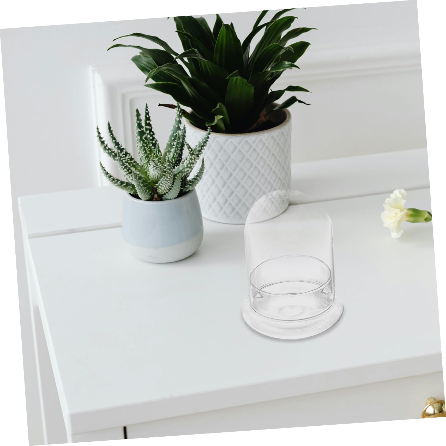 ERINGOGO Mini Bottiglia Da Giardino Per Micro Paesaggi in Vetro Trasparente 12x16cm, Contenitore Semplice Ecologico Stabile e Adatto Per Casa, Hotel e Ristoranti