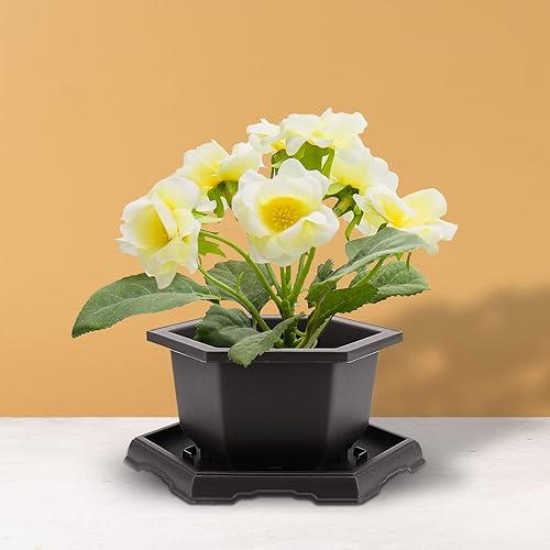 Miniatura 7 de HEIHAK Paquete de 5 Macetas para Bonsái, Macetas Hexagonales de Entrenamiento para Bonsái de Plástico con Malla Incorporada con Bandejas, Maceta