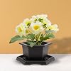 Product Photo 7