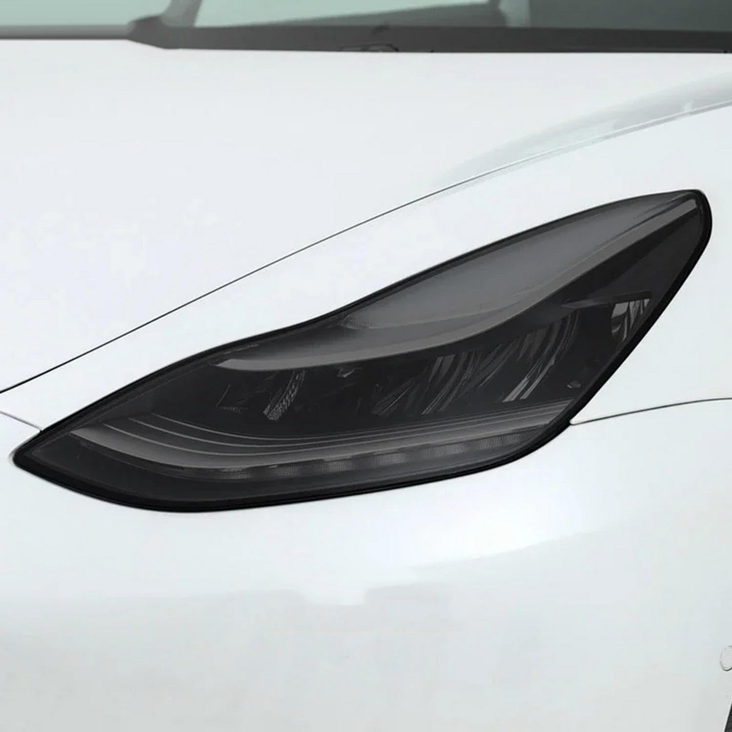 Film de protection des phares Tesla Model Y 2020 finition invisible