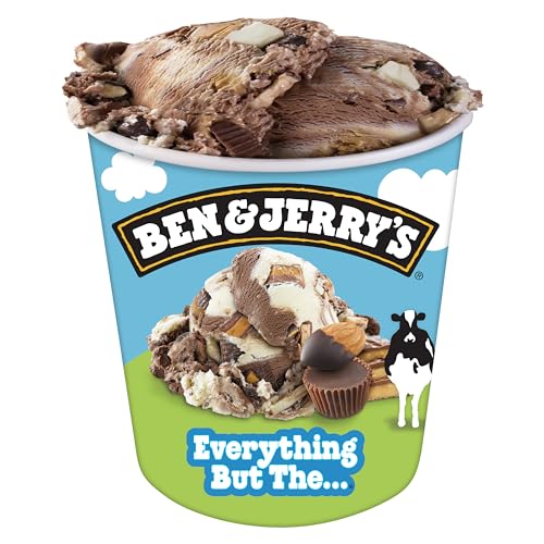 Ben & Jerry's Everything But The… Chocolate & Vanilla Ice