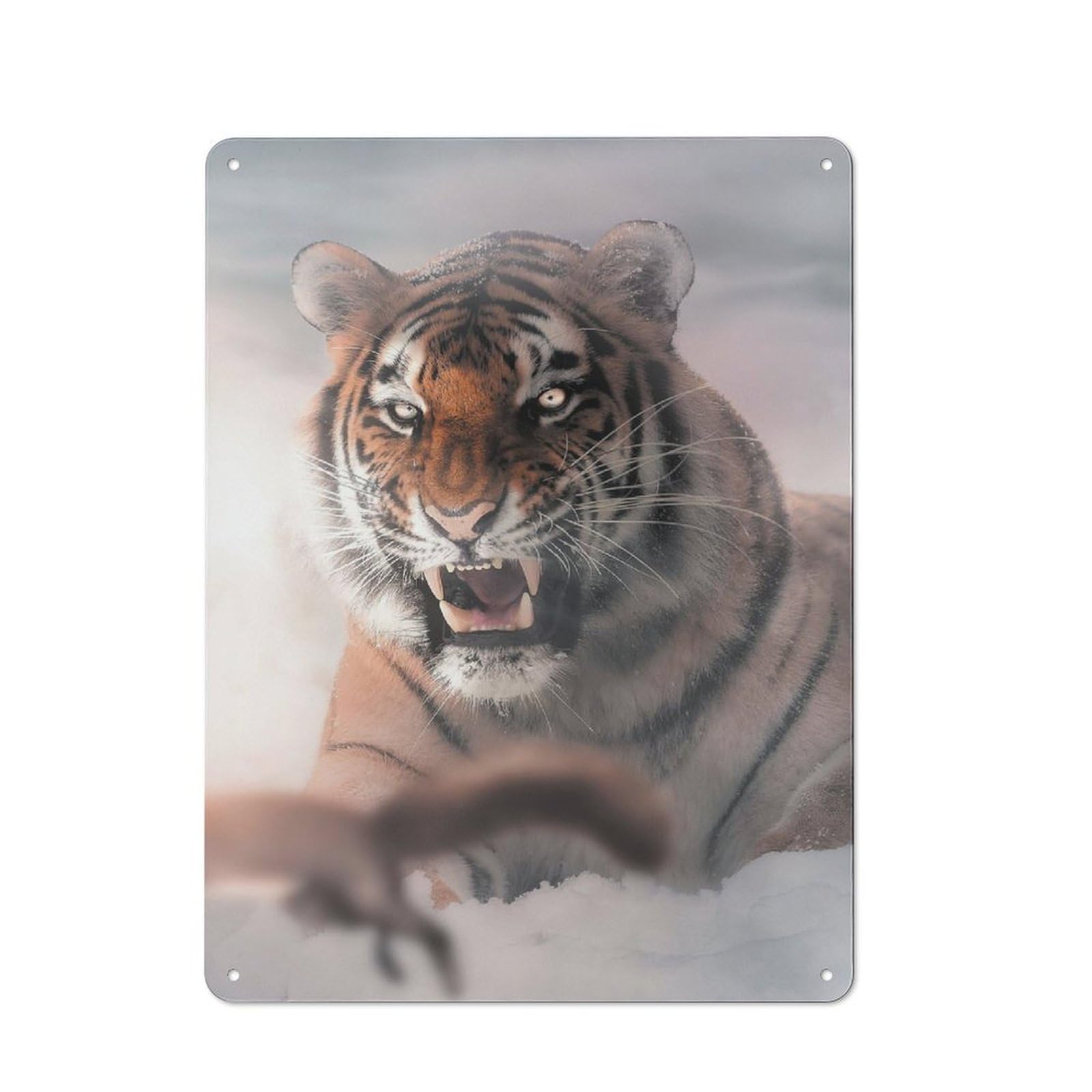 Junmoney Tiger And Jumping Squirrel Rustic Tin Wall Plaque 40X30cm For Garage Or Workshop, For Home Interiors, Feature Walls And Decorative Displays