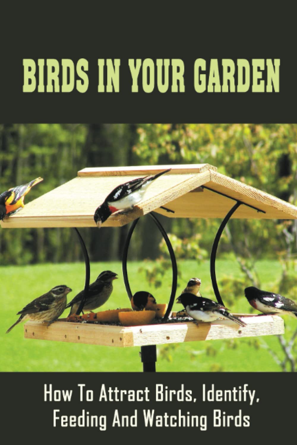 Birds In Your Garden: How To Attract Birds, Identify, Feeding And Watching Birds