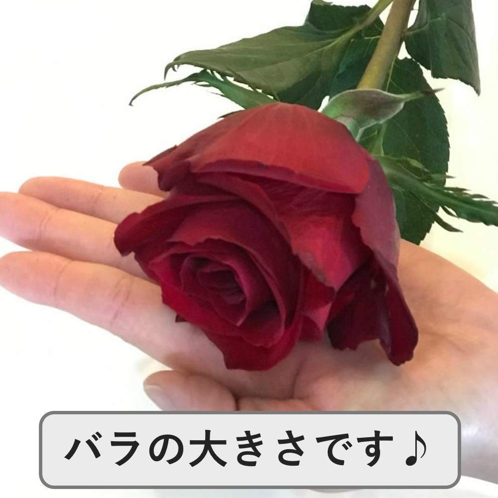 Amazon｜[ビズフラワー]【花束 バラ(大輪) 12本】 インポート