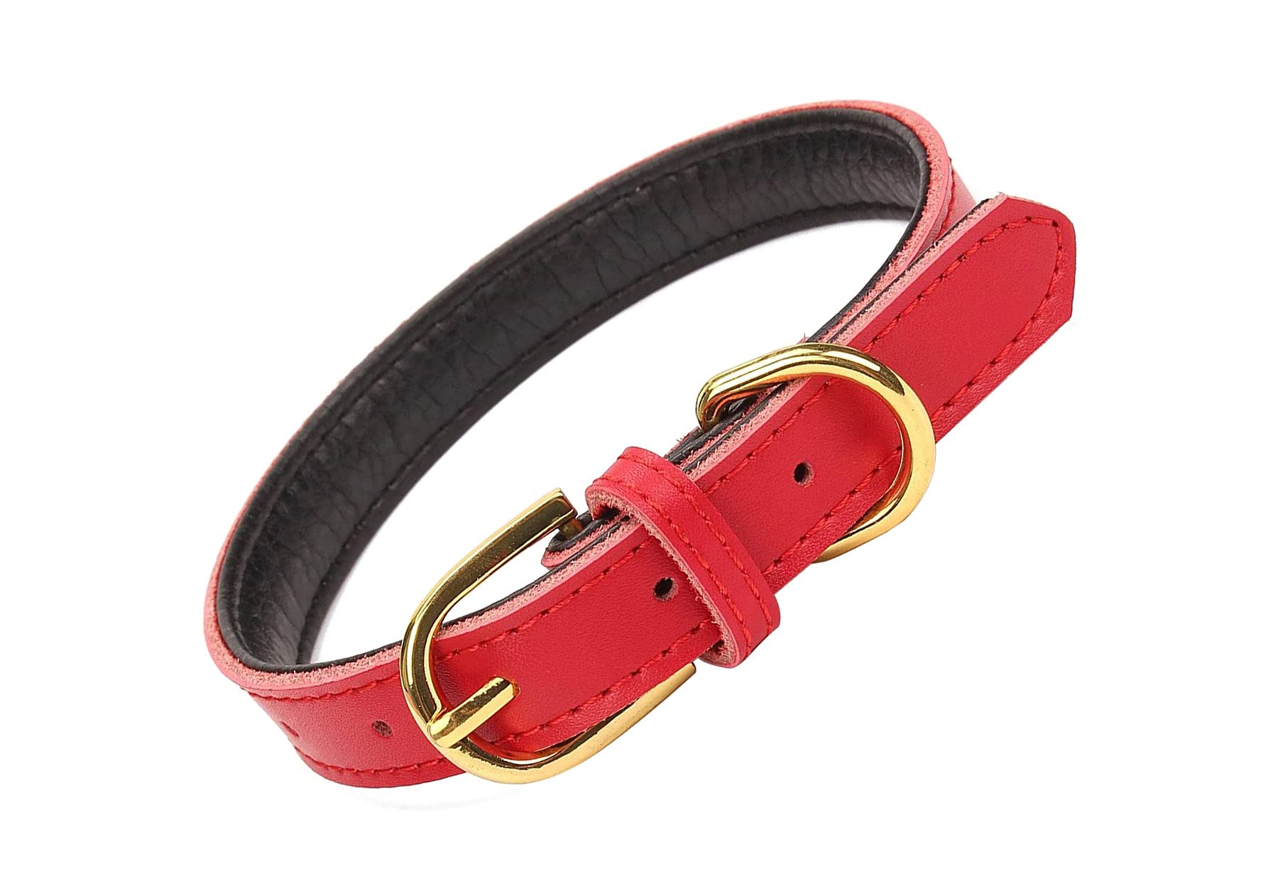 Kuivoo Hundehalsband Aus Weichem Leder – Gepolstert & Verstellbar Für Kleine Bis Große Hunde