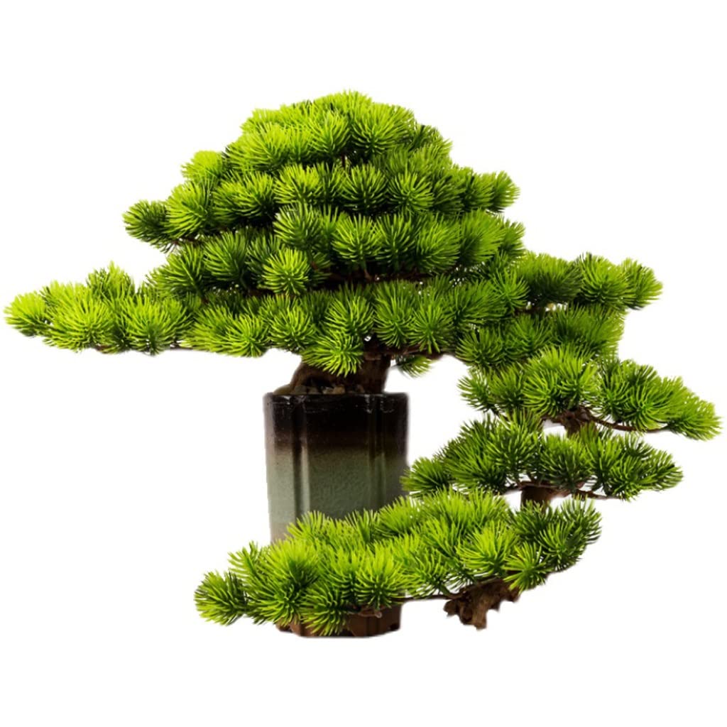 Plantas Artificiales Artificial Bonsai Pine Tree Simulation Green Plant Bonsai Indoor Fake Plant Potted House House Plants for la escritorio Home Office Exhibir Falsas en Macetas Plantas ( Color : A )
