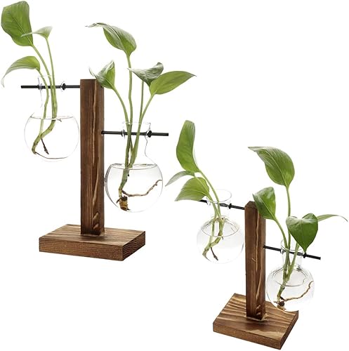 Miniatura 3 de Maceta de cristal transparente con soporte de madera retro y soporte giratorio de metal, terrario para plantas hidropónicas, decoración del hogar,